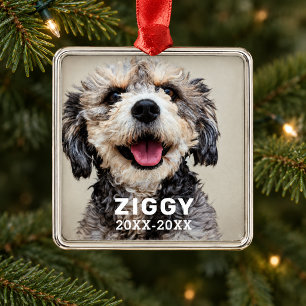 Modern Dog Memorial Photo Name and Dates Metal Tree Decoration