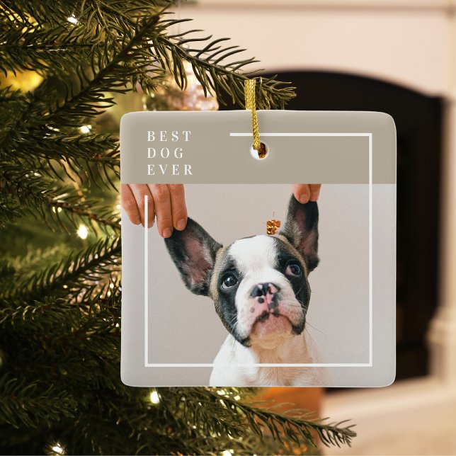 Modern Dog Photo | Best Dog Ever Beige Ceramic Ornament (Creator Uploaded)