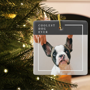 Modern Dog Photo   Coolest Dog Ever Ceramic Ornament
