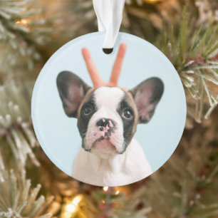 Modern Dog Photo Merry Christmas Ornament