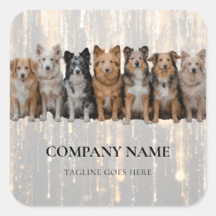 Modern Dog Walker / Pet Sitter Logo Sticker