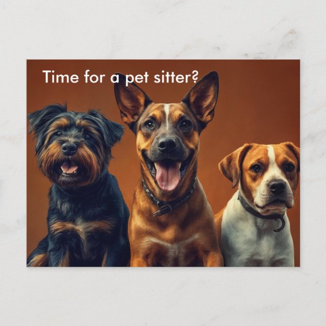 Modern Dog Walker / Pet Sitter Marketing Postcard (Front)