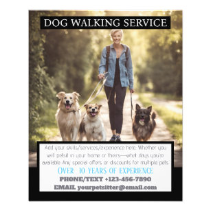 MODERN Dog Walker Pet Sitter Photo Small Business Flyer