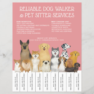 Modern Dog Walker Pet Sitter Pink Simple Strip Flyer
