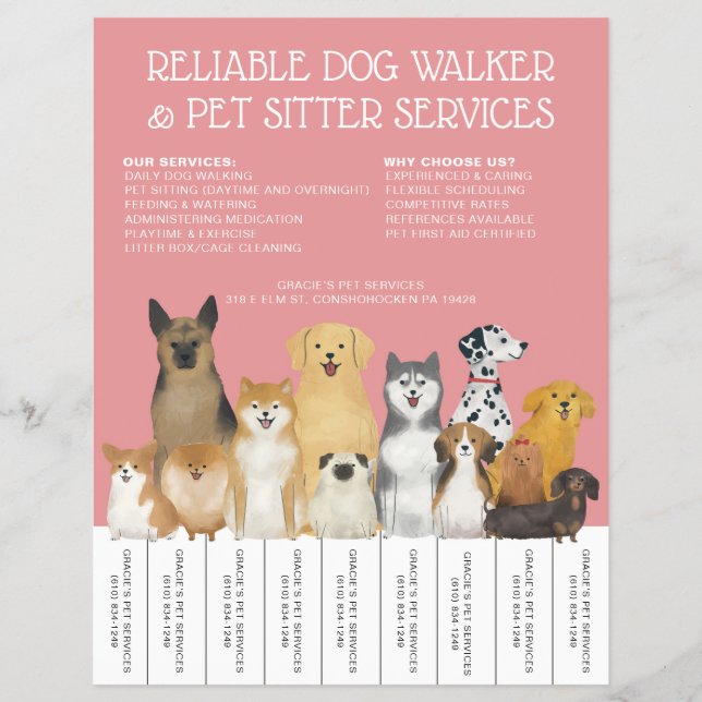 Modern Dog Walker Pet Sitter Pink Simple Strip Flyer (Front)