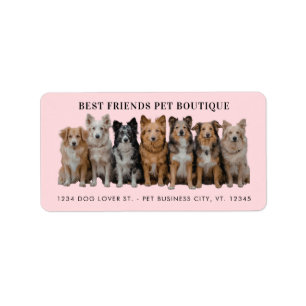 Modern Dog Walker / Pet Sitter Return Address Label