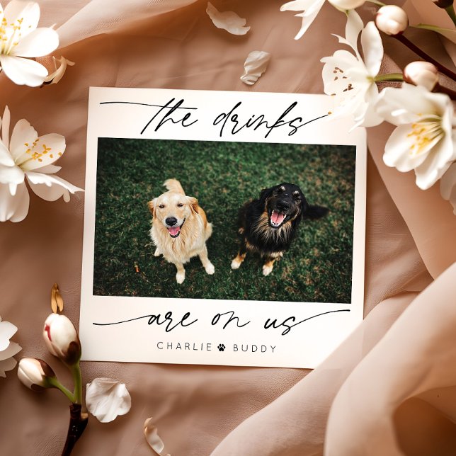 Modern Drink Are On Us Pet Photo  Napkin (Creator Uploaded)