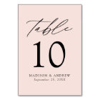 Modern Elegant Blush Wedding