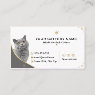 Modern Elegant British Shorthair Cattery Business Card