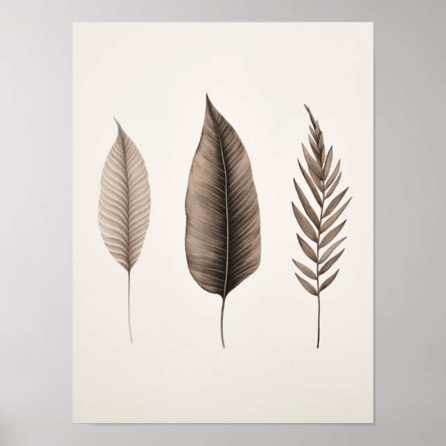 Modern elegant clean leave poster (Front)