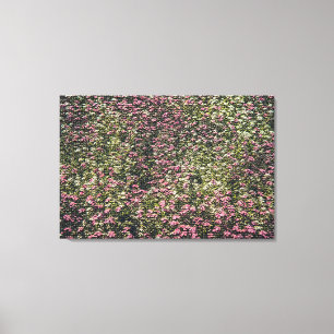 Modern Elegant Floral Canvas Print