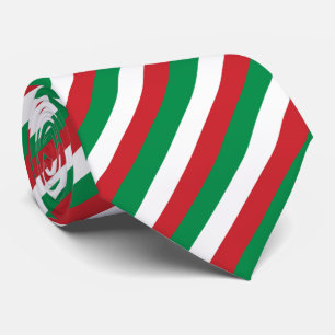 Modern Elegant Green Red Italian Flag Striped Tie