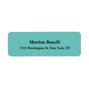 Modern Elegant Minimalist Exclusive Light Teal