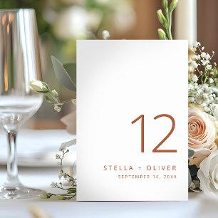 Modern Elegant Rustic Terracotta Wedding Table Number
