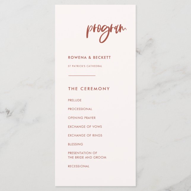 Modern elegant snow pink wedding programme (Front)