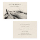 Modern Equine Chiropractor Physiotherapist Photo