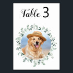 Modern Eucalyptus Custom Dog Photo Pet Wedding Tab Table Number<br><div class="desc">Table numbers by from your pets! Include your best dog, best cat and any pet in your wedding with his own table numbers for your guests. Perfect for dog lovers, and a special dog table numbers will be a hit at your wedding. Simple yet elegant white with eucalyptus leaves. Customise...</div>