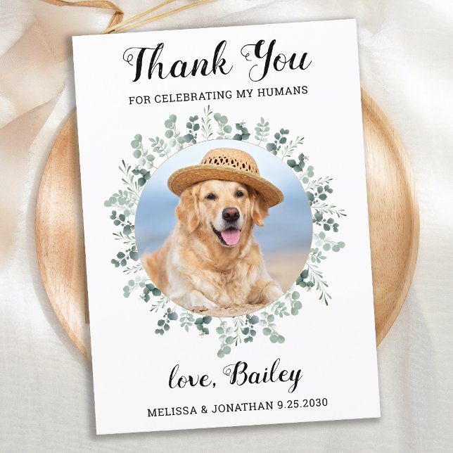 Modern Eucalyptus Greenery Pet Dog Photo Wedding Thank You Card (Creator Uploaded)