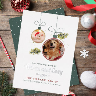 Modern Family Pets Photos Christmas Silver Foil Holiday Card
