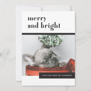 Modern Festive Dog / French Bulldog / Pet Lover Holiday Card