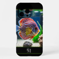 Modern Fish Tank, Monogramed Initial