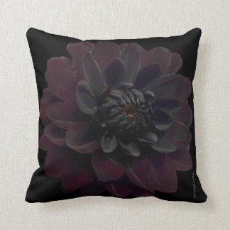 Modern Floral Black Dahlia Flower Cushion