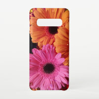 Modern Floral Photography Pink and Orange Gerbers
