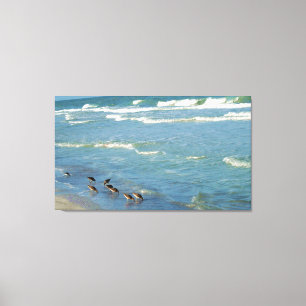 Modern Florida Shorebirds Ocean Photo Canvas Print