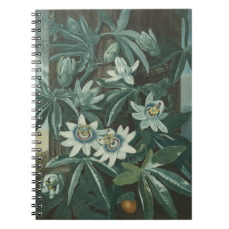 Modern Flower Painting Notebook