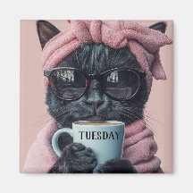 Modern Funny Pet Days