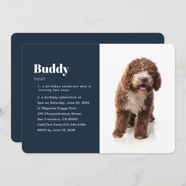 Modern Funny Pet Photo Birthday Invitation (Front/Back)