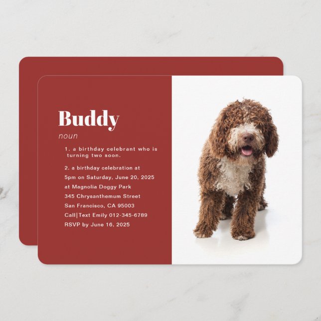 Modern Funny Pet Photo Birthday Invitation (Front/Back)