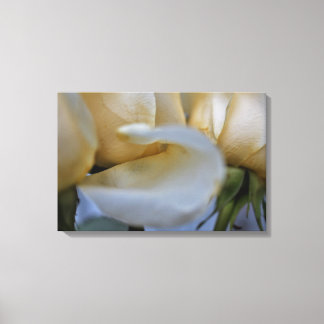Modern Gallery Canvas – Elegant Art for Any Room Print