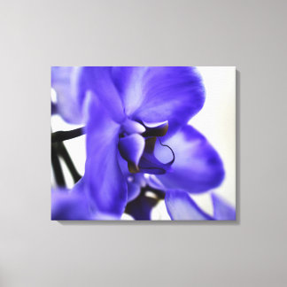 Modern Gallery Canvas – Elegant Art Print