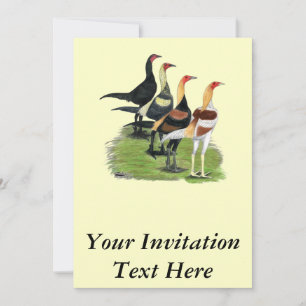 Modern Game Roosters Invitation
