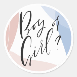 Modern Gender Reveal Party Decoration Classic Round Sticker