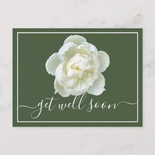 Modern Get Well Soon White Peony Botanical Floral  Postcard