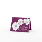 Modern Girly Daisies Floral Flowers Pink Birthday