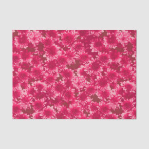 Modern Graphic Dahlia Pattern, Burgundy and Pink Tissue Paper