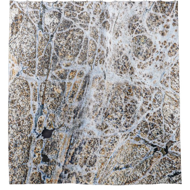 Modern Grunge Abstract Neutral Colours Shower Curtain (Front)