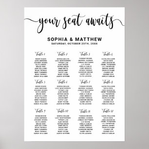 Modern Hand Lettering Wedding Seating Chart
