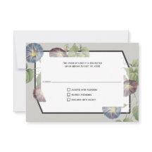 Modern Heirloom Morning Glory Reply