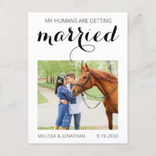 Modern Horse Photo Pet Wedding Save The Date Announcement Postcard