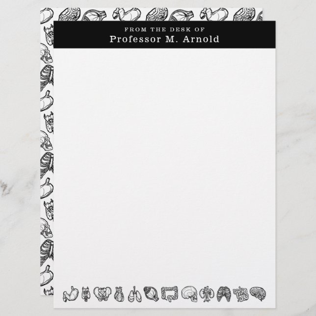 Modern Human Anatomy Science Sketch Personalised Custom Letterhead (Front/Back)