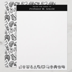 Modern Human Anatomy Science Sketch Personalized Custom Letterhead