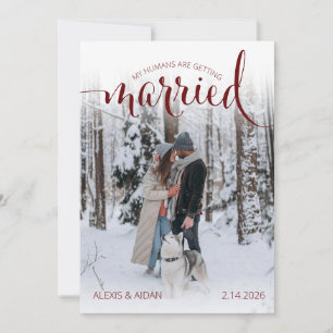 Modern Humans Getting Married Pet Photo Engagement Save The Date
