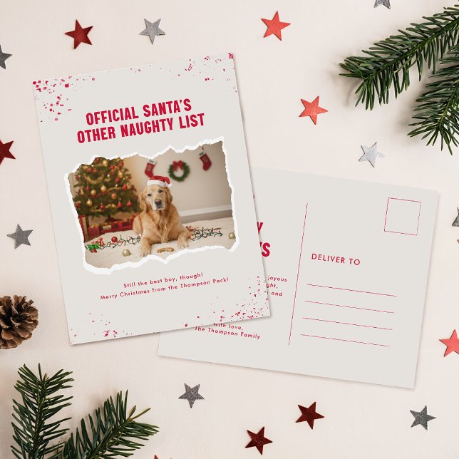 Modern Humor Funny Photo Dog Christmas Postcard (Creator Uploaded)