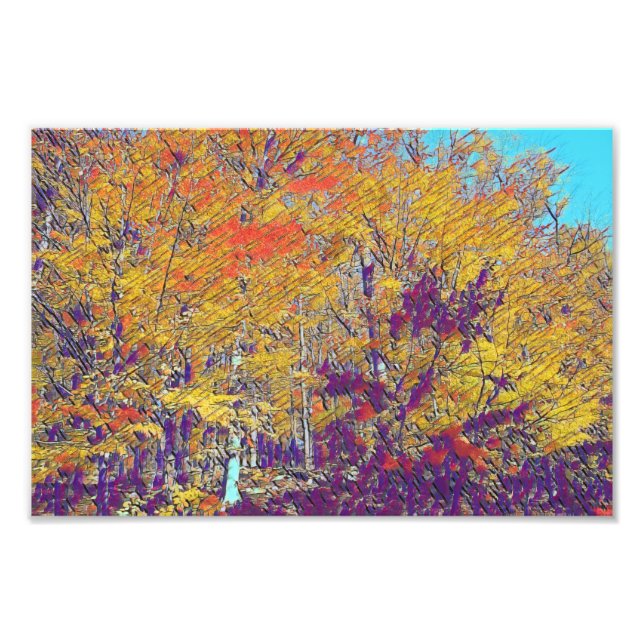 modern impressionist fall trees photo print (Front)