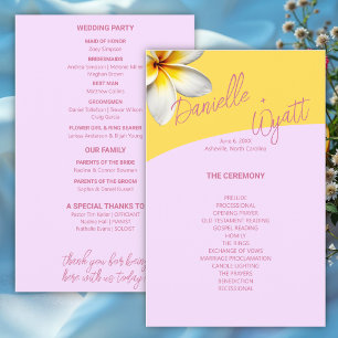Modern Italian Summer Wedding Budget Program Flyer