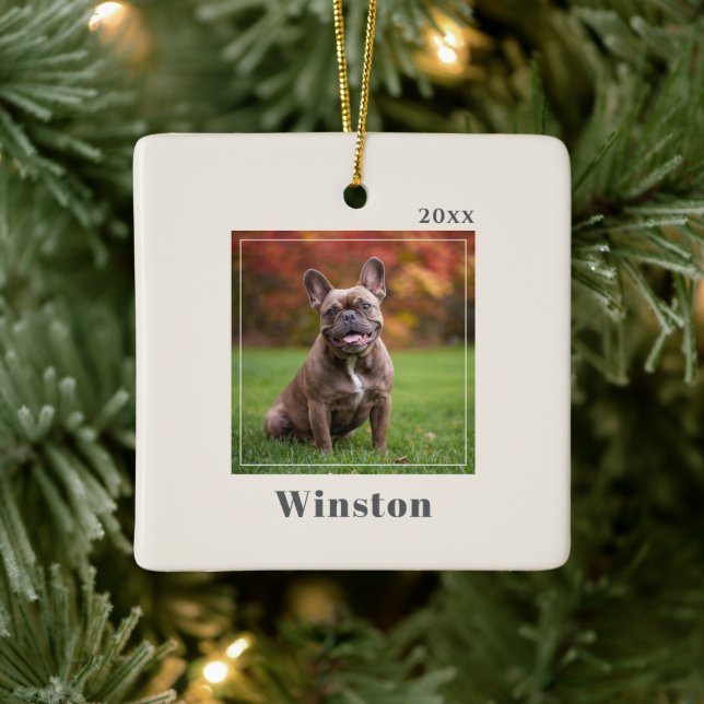 Modern Ivory Custom Pet Name Photo Ceramic Ornament (Tree)